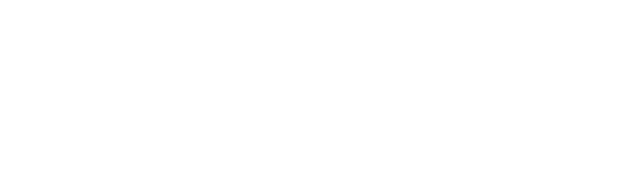 SVN First Guardian Group 